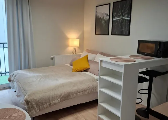 Διαμέρισμα Lux Πόζναν